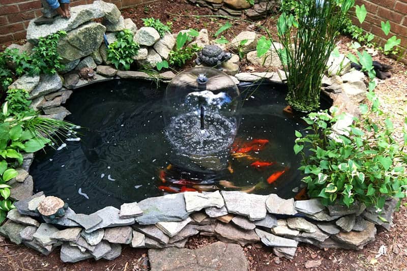 Building of Fish Ponds and Painting
