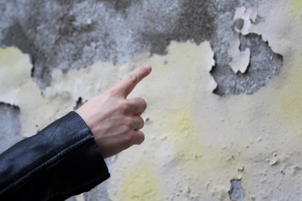 Damp Proofing & All Painting Works